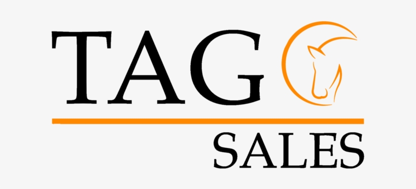 Avel - Rebus Puzzles, transparent png download