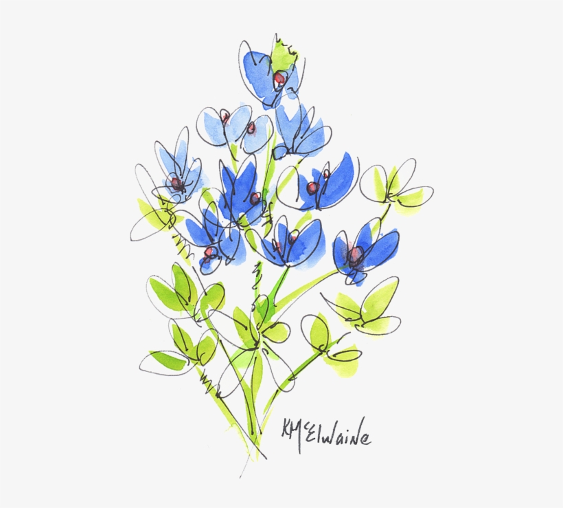 Click And Drag To Re-position The Image, If Desired - Gentian Family, transparent png download