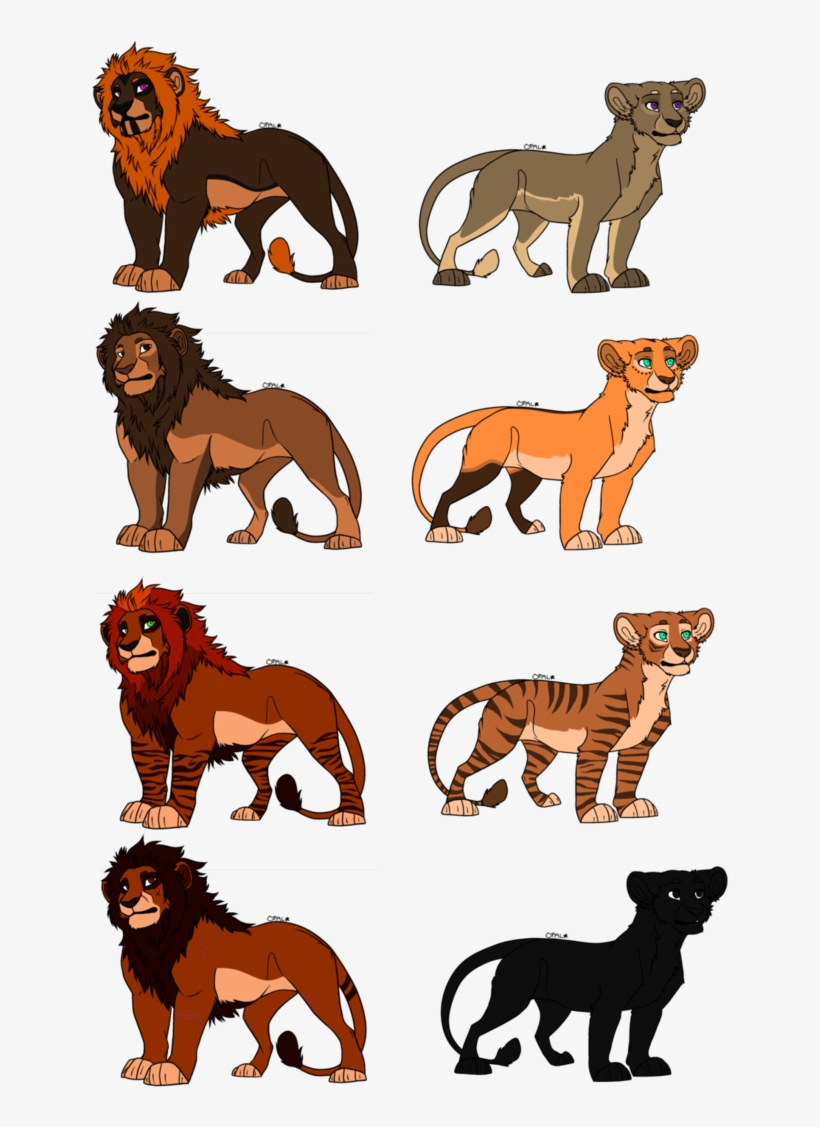 The King And Queen Have Returned - Masai Lion, transparent png download