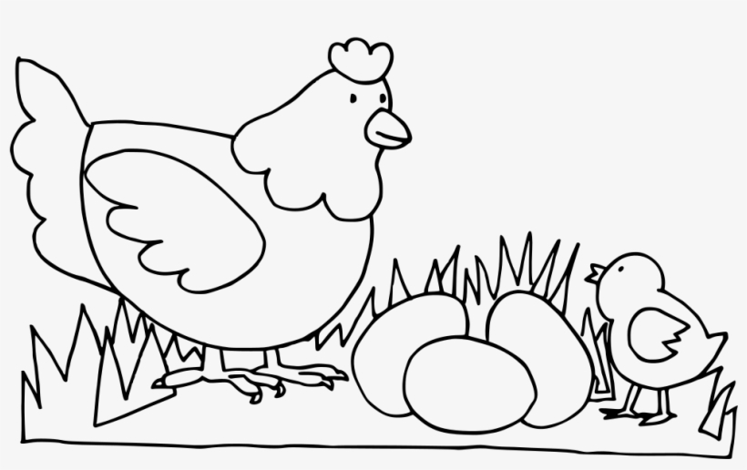 Download Png - تلوين دجاجة, transparent png download