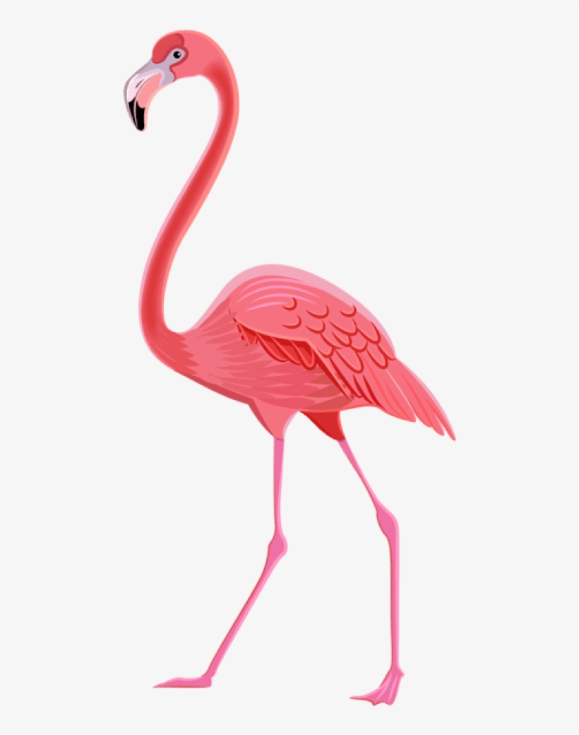 Free Png Download Flamingo Png Images Background Png - Transparent Flamingo Flamingo Png, transparent png download