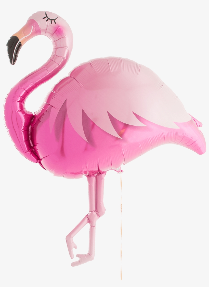 Hot Pink Flamingo Supershape - Greater Flamingo, transparent png download
