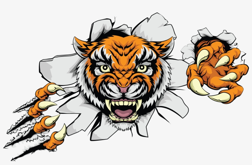 Ferocious Clipart Indian Tiger - Non Copyright Images Of Tiger Feet .png, transparent png download