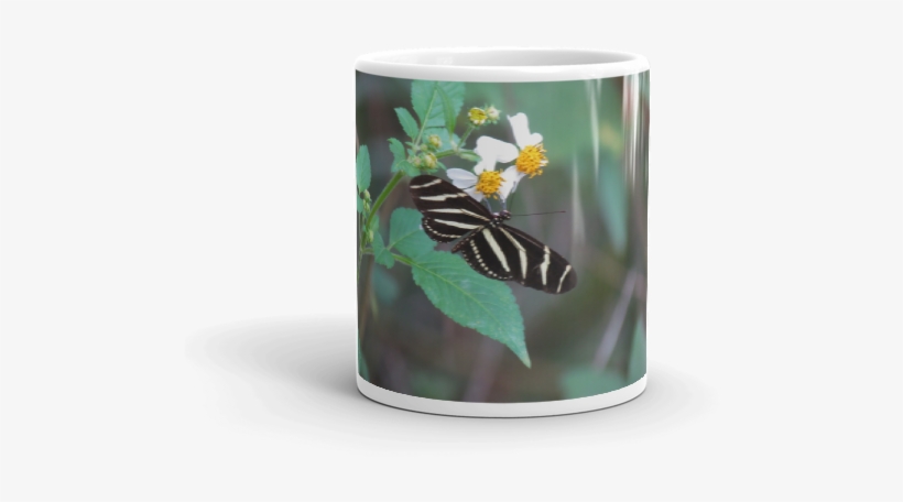 Iansphotos - Net - Zinnia, transparent png download