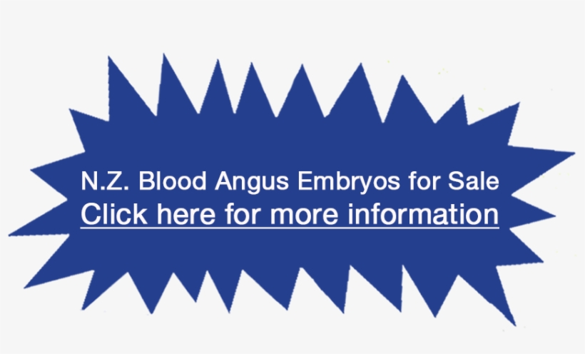 Leighwood Grange Johno J65 The Real Deal - Graphic Design, transparent png download