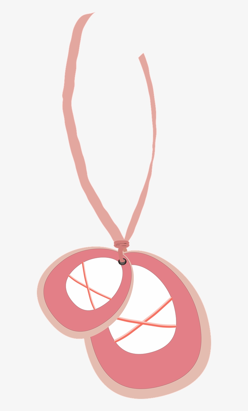 Ballet Shoes Dance - Pendant, transparent png download