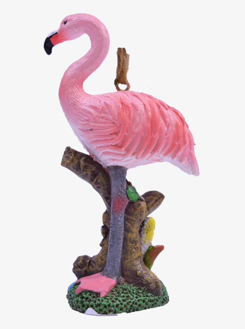 Greater Flamingo, transparent png download