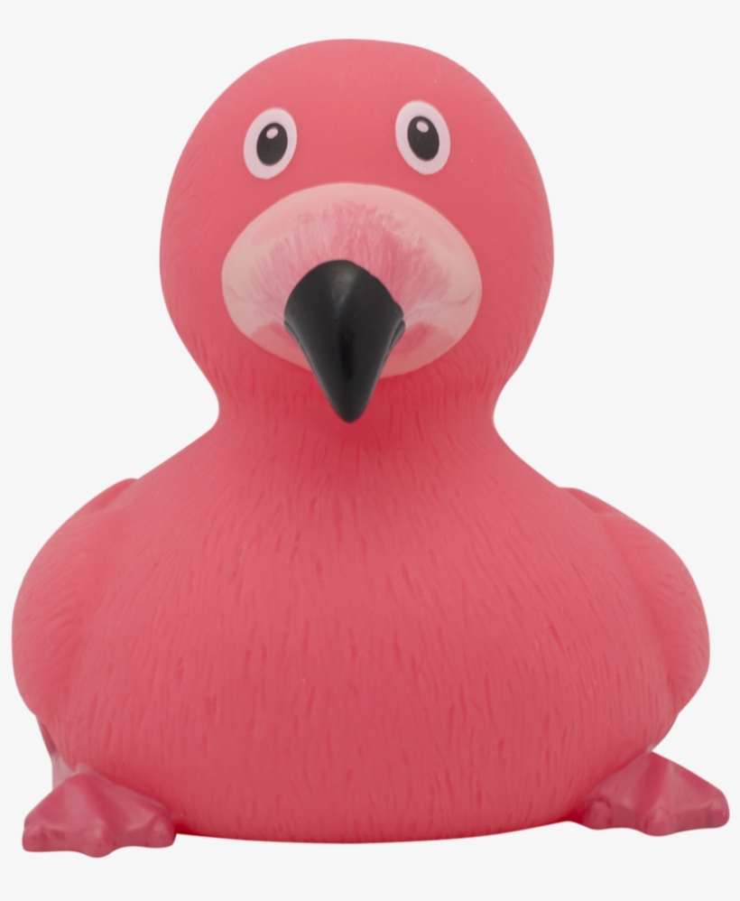 Flamingo Rubber Duck By Lilalu - Flamingo Ente, transparent png download