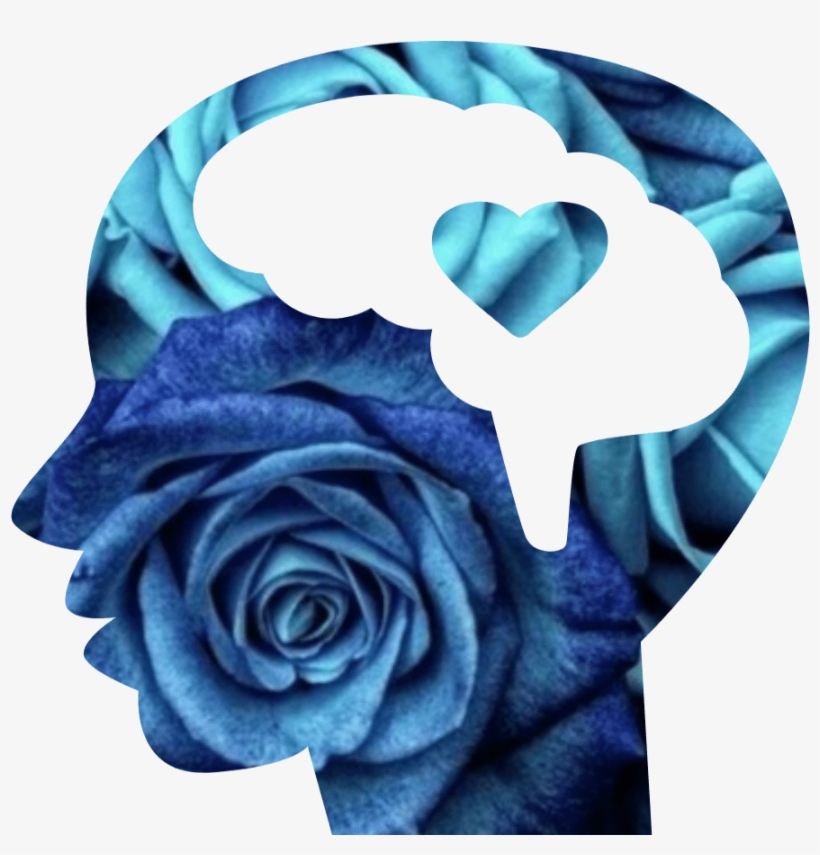 Black, Blue - Garden Roses, transparent png download