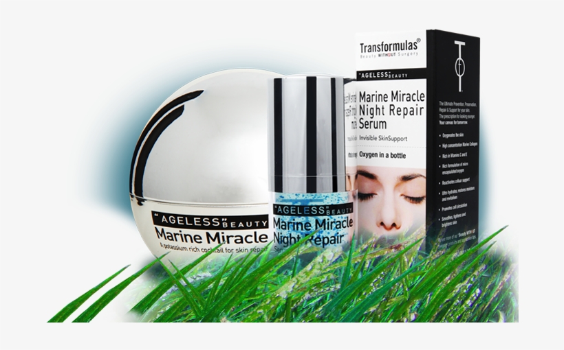 636 Replies 1,064 Retweets 302 Likes - Grass, transparent png download