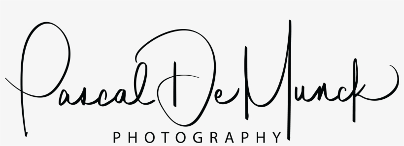 Pascal De Munck - Calligraphy, transparent png download