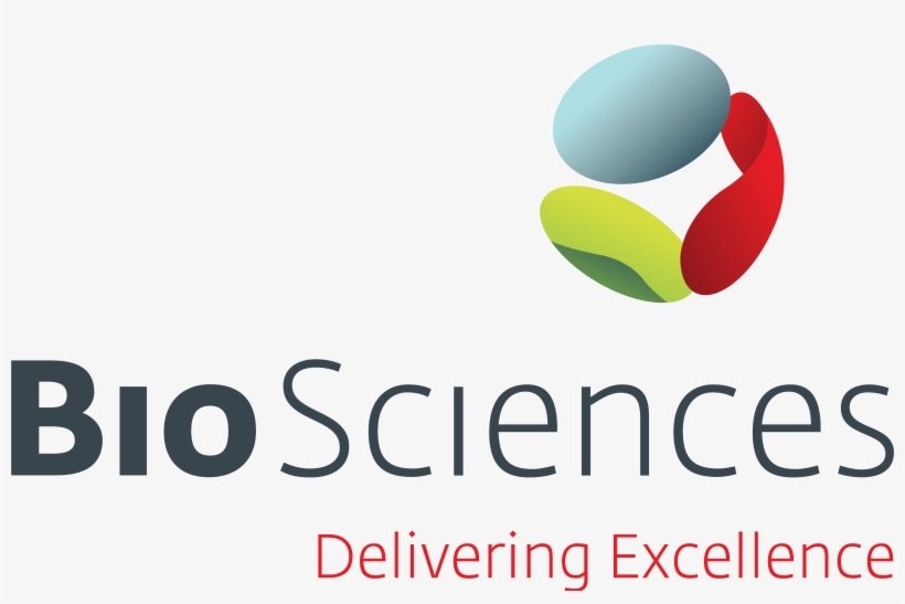 Bronze Sponsors - Graphic Design, transparent png download