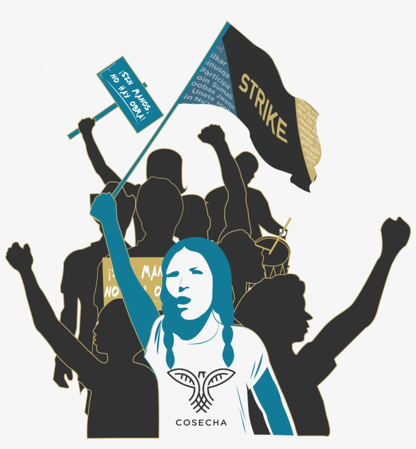 Cosecha - May Day Cosecha, transparent png download