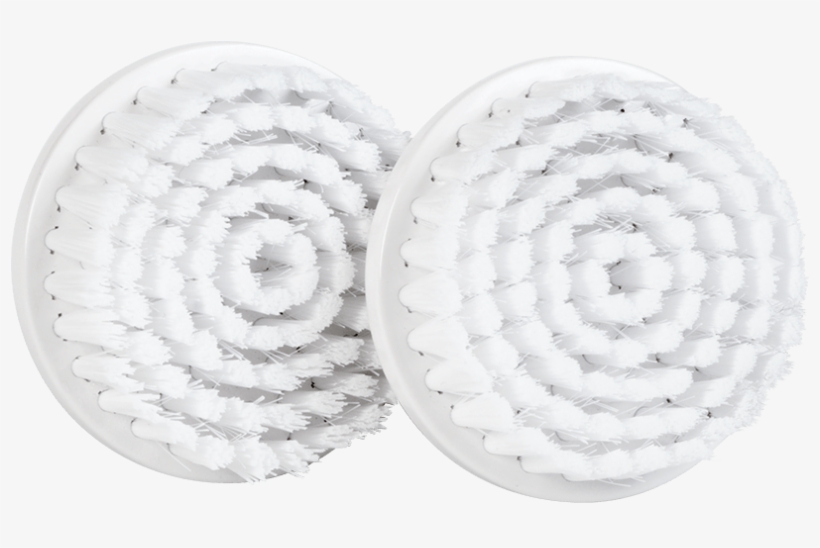 Circle, transparent png download