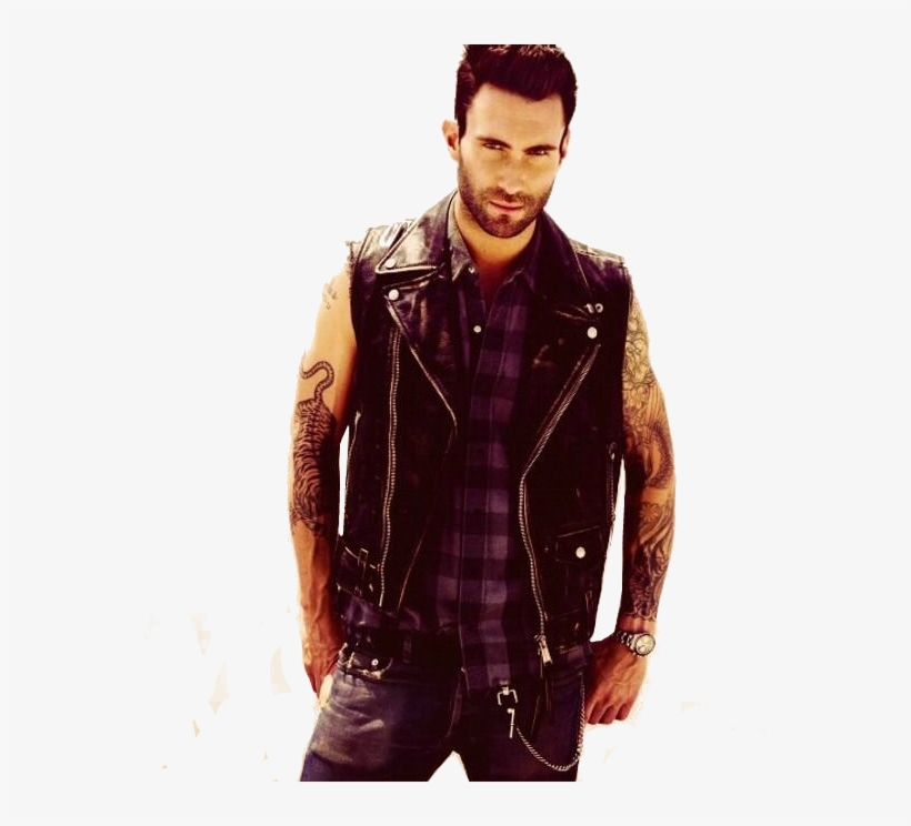 Adam Levine Adam Levine Hot Sexy Love Maroon - Adam Levine Gay, transparent png download