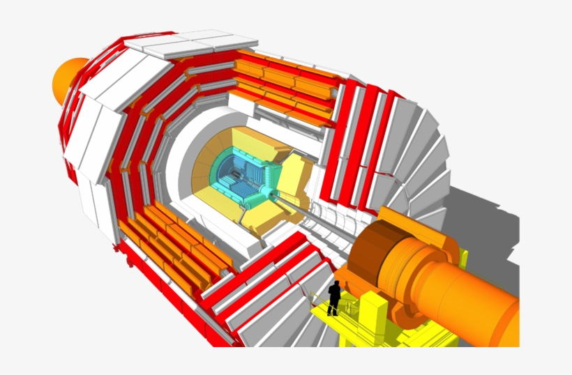 Png, Cms 160312 07 Thumb - Main Component Of Cms Detector, transparent png download