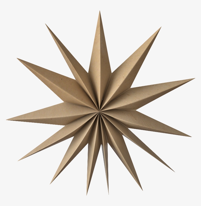 Deco Star Venok Fungi Wood - Venok Julstjärna, transparent png download