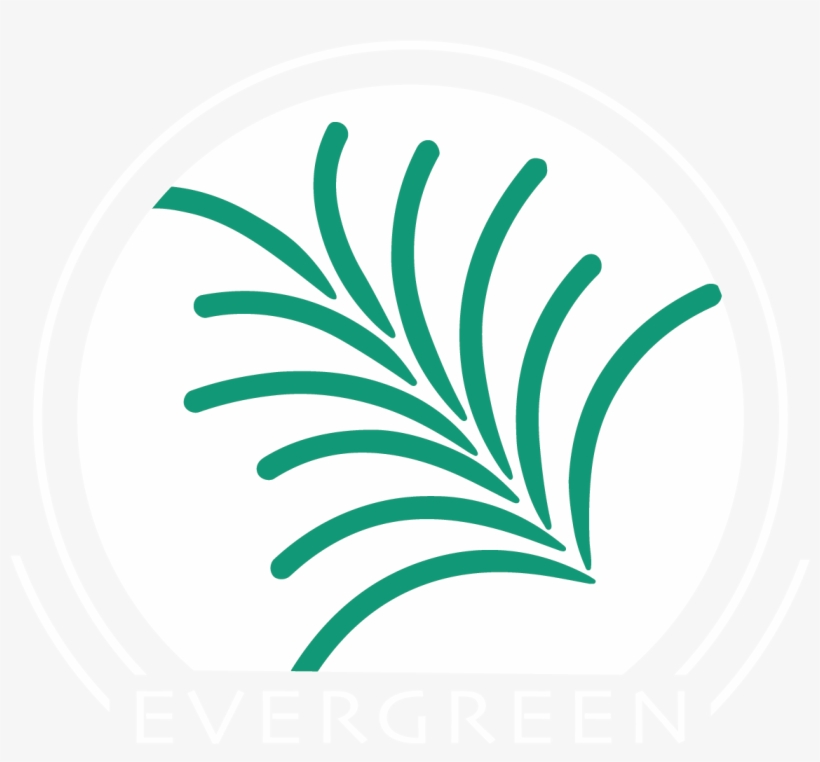 72 Dpi, 150 Dpi, 300 Dpi Green Background And - Evergreen Ils, transparent png download