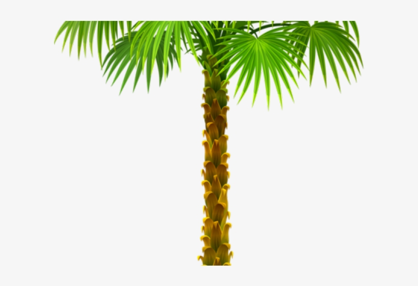 Vector, transparent png download