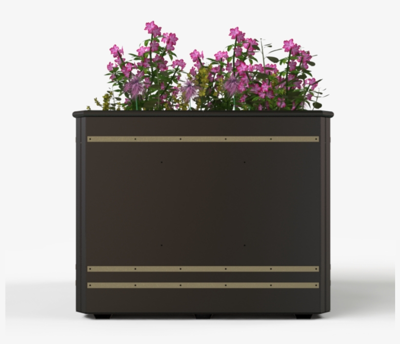 Policy - Bellflower, transparent png download