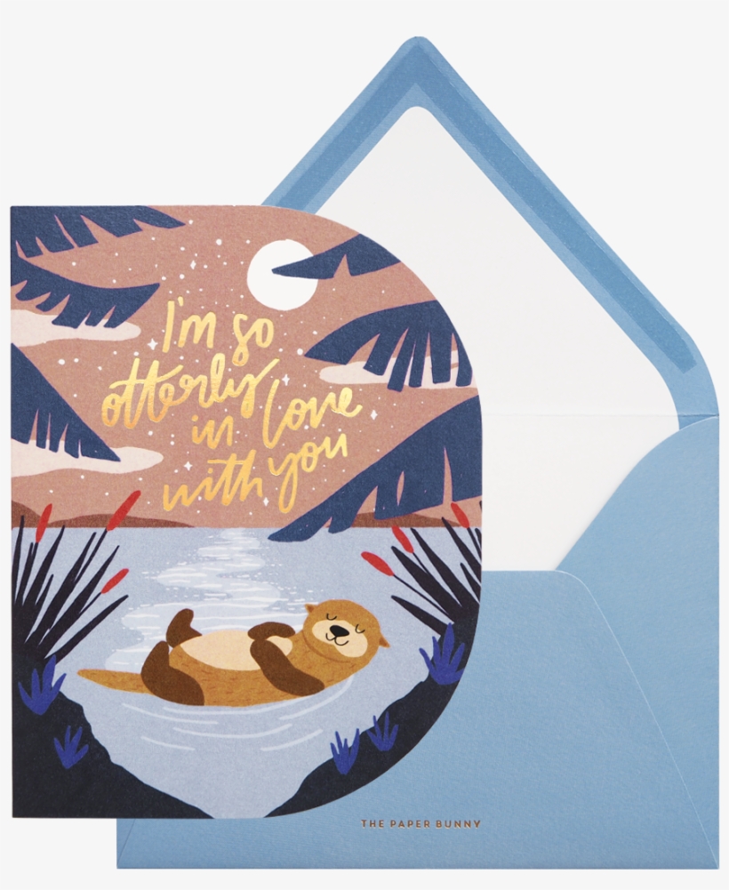 Brown Bear, transparent png download