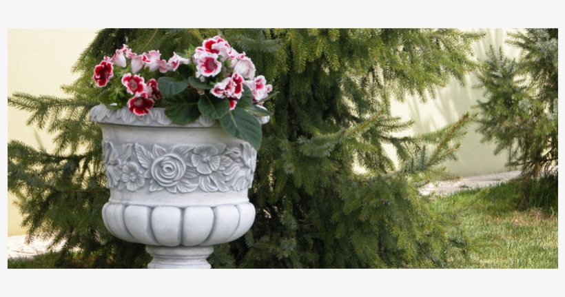 D621 I - Малые Городские Архитектурные Формы, transparent png download