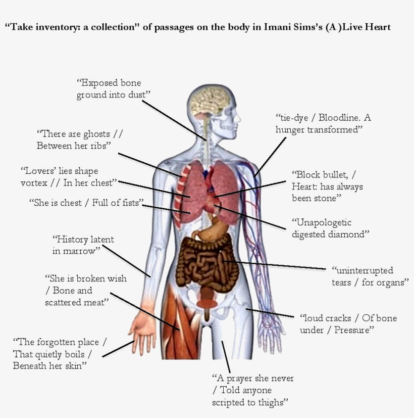 Labels Quoted From Live Heart By Imani Sims - Diagram, transparent png download