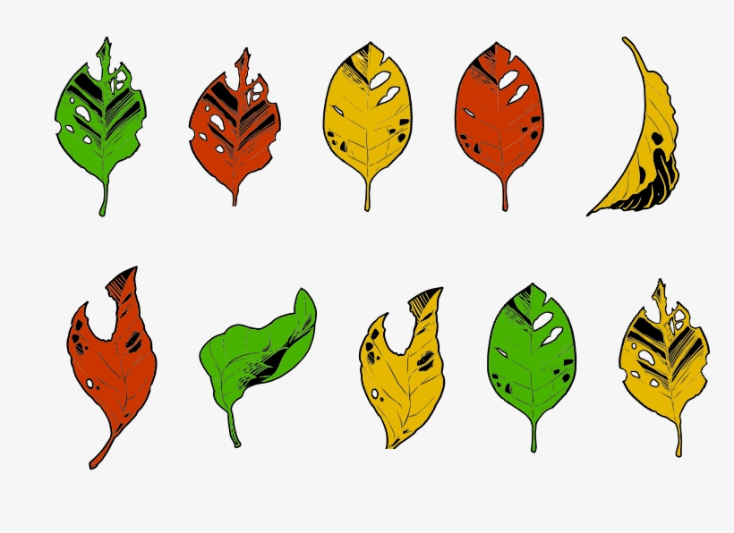 Less Than Perfect Autumn Leaves, transparent png download