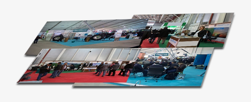 Car, transparent png download