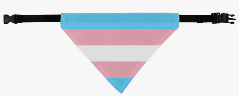 Trans Pride ﻿pet Bandana - Cat, transparent png download