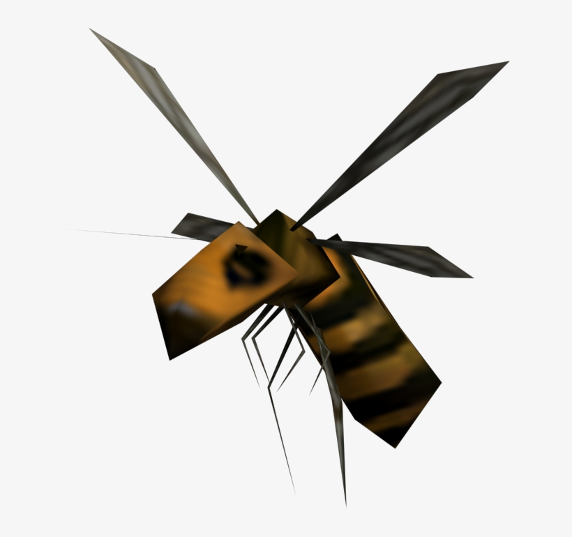 Insect, transparent png download