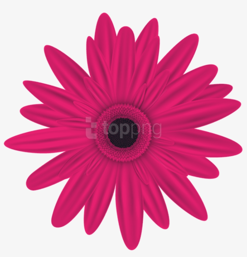Pink Flower Clip Art Png Image - Pink Flowers Clip Art Free Download, transparent png download