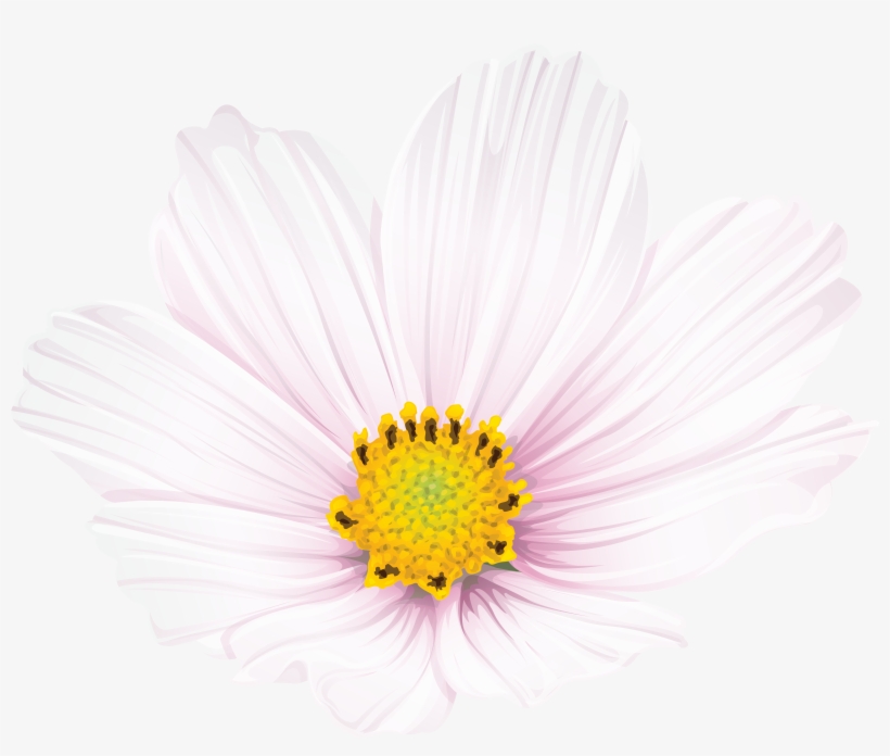 Flower Clip Art Png Image, transparent png download