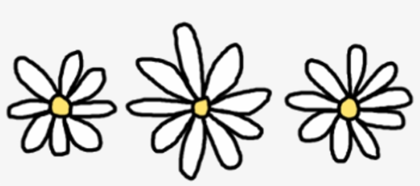 1024 X 1024 3 - Clipart Png, transparent png download