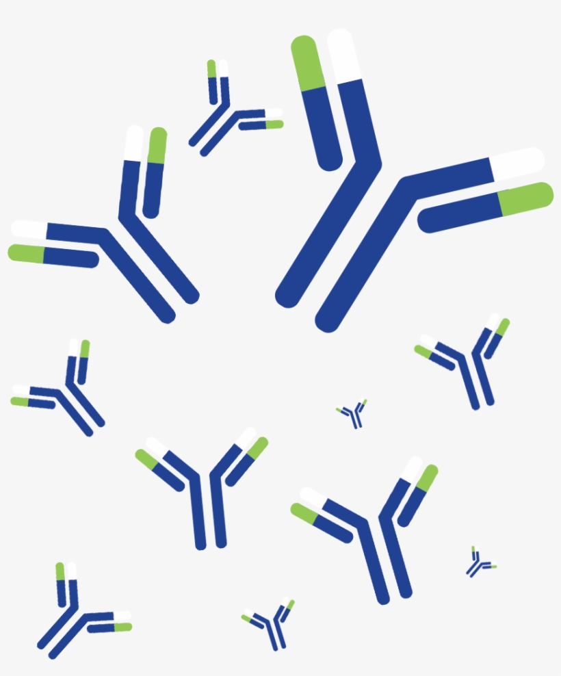 Graphic Design, transparent png download