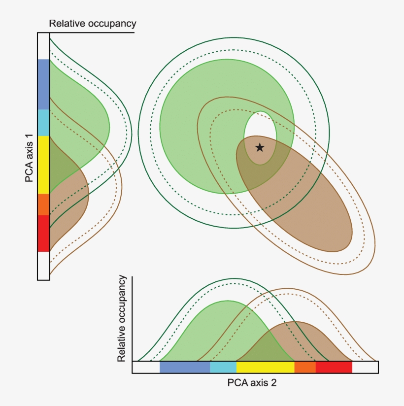 Niche Shifts For Native And Alien (brown Oval) Realized - Circle, transparent png download