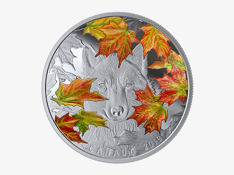 168462 Rev-570 - Coin, transparent png download