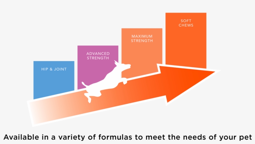 Cosequin Ds Msm - Graphic Design, transparent png download