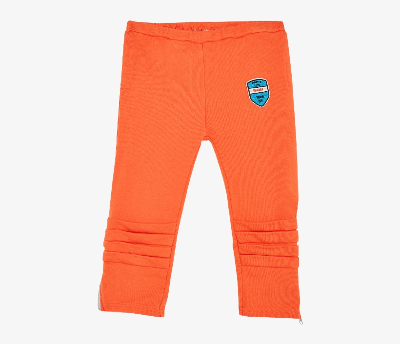 Trousers, transparent png download