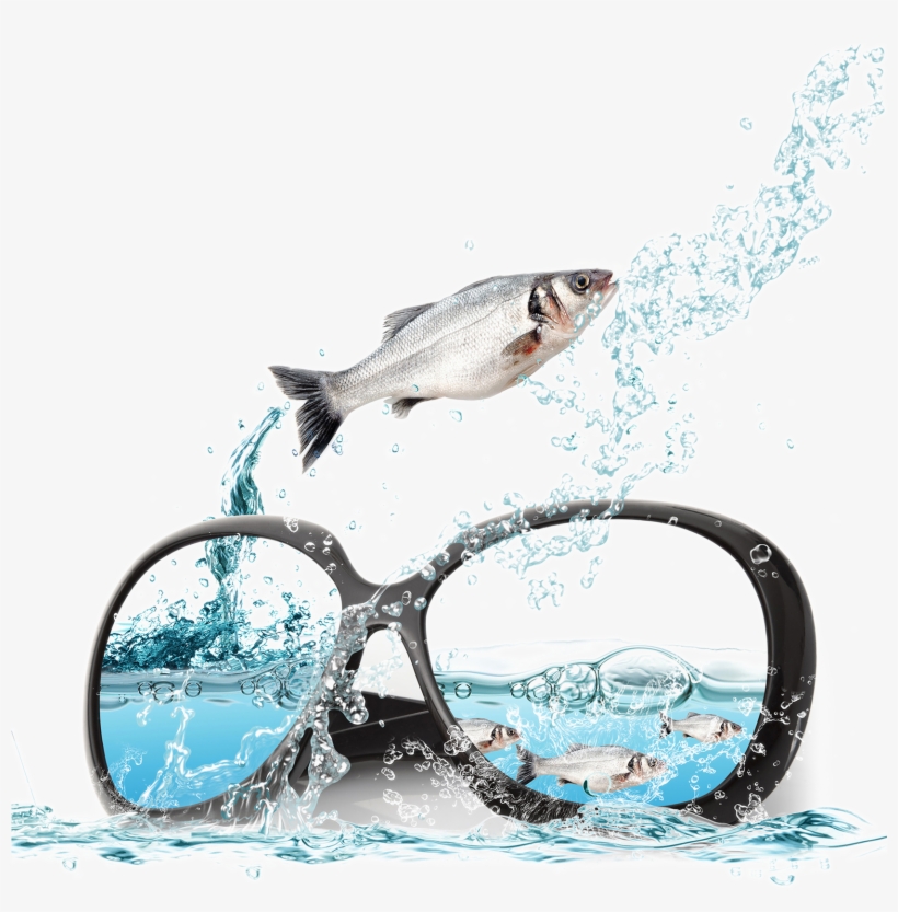 And Sunglasses Poster Fish Ocean Advertising In Clipart - Water Psd, transparent png download