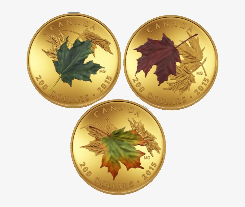 Canada 2015 Alluring Maple Leaves Of Fall Proof Gold - Coin, transparent png download
