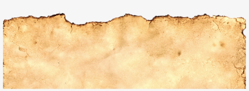 Doria - Sand, transparent png download