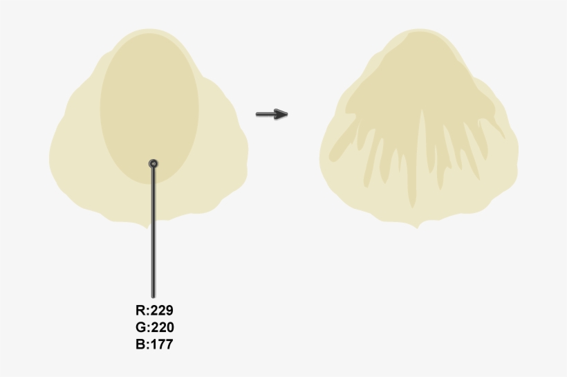 Creating The Shadow On The Petal, transparent png download