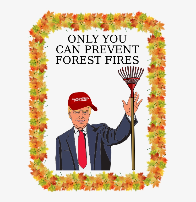 Smokey The Trump - Clip Art Simple Fall Border, transparent png download