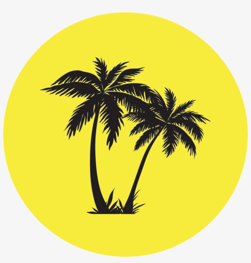 Tear Clipart Bit Paper - California Palm Tree Clip Art, transparent png download