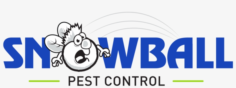 For Thorough Pest Control In Wilder Ky- Serving All - Bas, transparent png download
