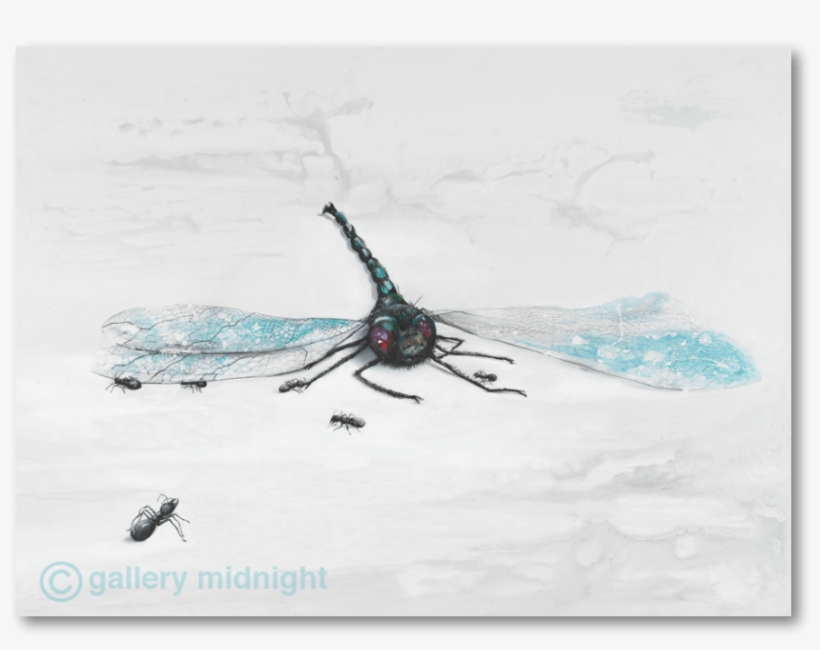 Damselfly, transparent png download