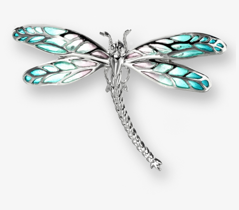 Stock - Dragonfly, transparent png download