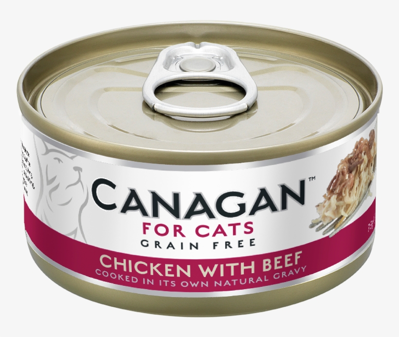 Cat, transparent png download