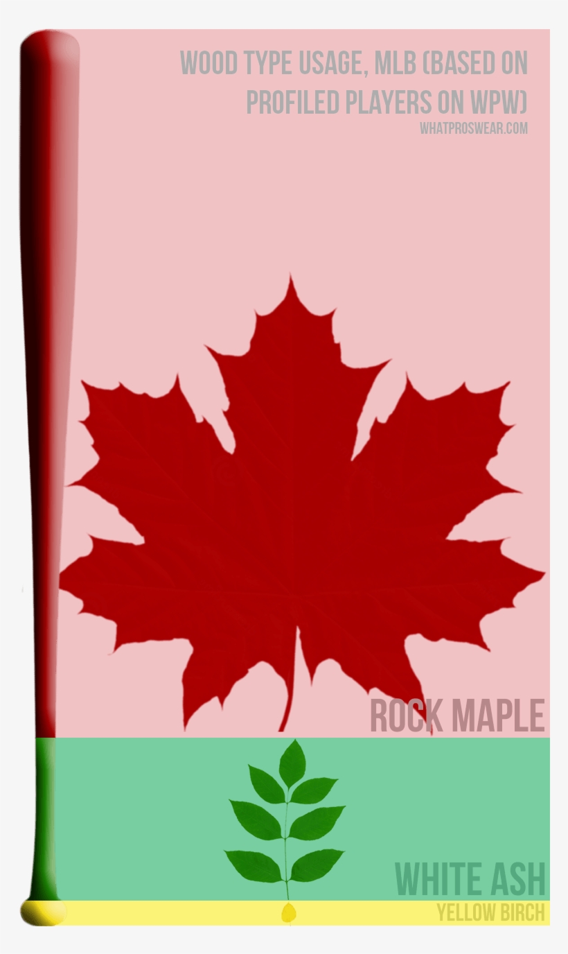 Wood Bat Type Usage In The Mlb - Feuille D Arbre Du Québec, transparent png download